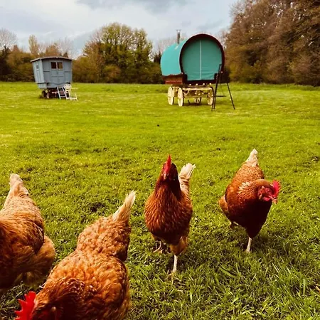 Romany Bow Gypsy Wagon @ Tin And Canvas Glamping,